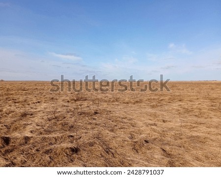 Similar – Image, Stock Photo Spacious field with dry grass and hills behind