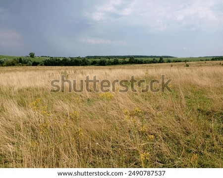 Similar – Image, Stock Photo Spacious field with dry grass and hills behind