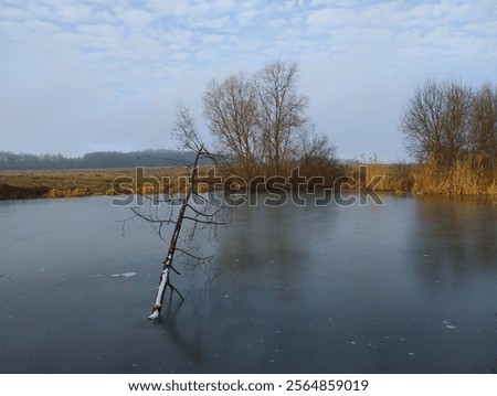 Similar – Image, Stock Photo Bank at the dike with branches and fog