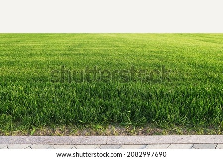 Similar – Image, Stock Photo nature meadow grasses close up with dew drops in the morning mist in black and white