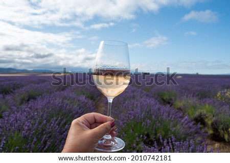 Summer in French Provence, cold gris rose wine from Cotes de Provence and blossoming colorful lavender fields on Valensole plateau, tastes and aromas of Provence, France Stok fotoğraf © 