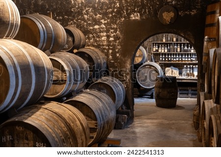 Similar – Image, Stock Photo The barrel of a tank in a case. Military aircraft. Old military equipment of the USSR and Russia. Military-patriotic park of culture and recreation of the Armed Forces of the Russian Federation “Patriot”, March 8, 2020