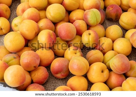 Image, Stock Photo Fresh bio harvest red currant