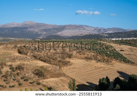 Similar – Image, Stock Photo Panoramic views of Ronda nature and urban landscape