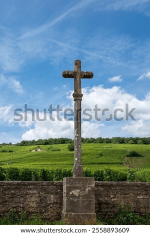 Similar – Image, Stock Photo Landscape in Burgundy