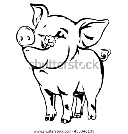 Happy dirty baby pig. Joyful young swine colorless vector sketch isolated on white.