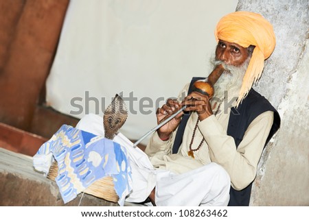 Hindu Snake charmer adult man in turban playing on musical instrument before snake at a basket