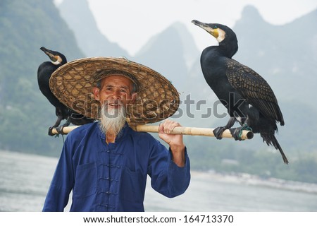 Chinese senior fisherman man with cormorants birds trained  to fish in Yangshuo, Guangxi region, China before traditional fishing