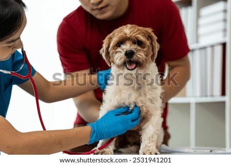 Similar – Image, Stock Photo Female veterinarian doctor uses ear drops to treat a cat