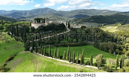 Similar – Image, Stock Photo Olive grove with ancient gnarled olive trees in Mallorca