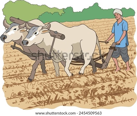 Farmer ploughing the fields with bullock cart