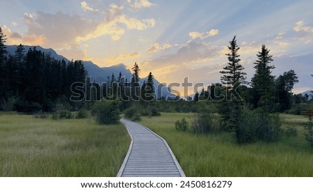 Similar – Image, Stock Photo Wooden path in a moor landscape