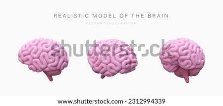 Realistic model of human brain. Pink cerebrum, view from different sides. Illustration in cartoon style. Vector concept for training, medical resources