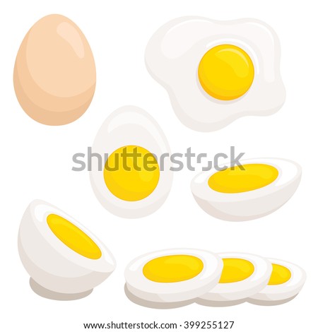 Cartoon egg isolated on white background. Set of fried, boiled, half, sliced eggs. Vector 
illustration. Eggs in various forms.