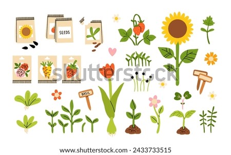 Seeds and seedlings. Germination of sprouts. Tools, pots and soil for planting. Spring sowing works. Set of hand drawn vector illustration isolated on white background.