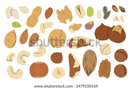 Set of nuts and seeds on white background. Pecan, Brazil nut, almond, hazelnut, pistachio, walnut, cashew, peanut, sunflower and pumpkin seeds. Healthy eating