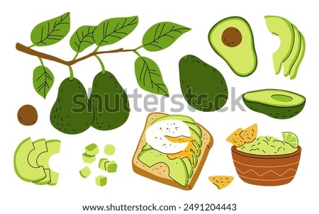 Cartoon set with avocado fruit on branch with leaves. Whole avocado, half and slices, cubes. Avocado toast with poached egg, bowl of guacamole with lime and nachos. Flat vector set