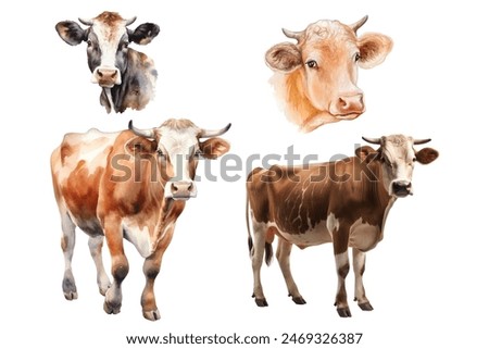 A set of farm animals: a cow, the head of a brown cow. For postcards, packaging design, textiles, booklets