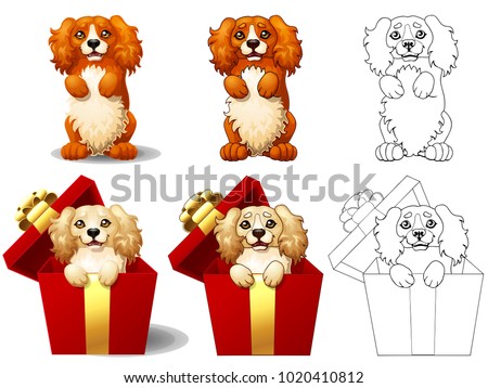 The set of lovely red and yellow dog of breed Cocker Spaniel looks out of a half-open red gift box. The variants of colorful and contour line art. A cartoon vector illustration isolated on white.