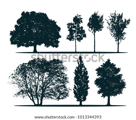 Tree silhouettes - green oak, maple, acer-platanoides, linden, ash, poplar. Set of different trees.