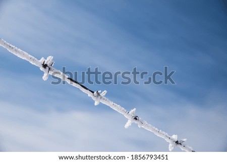 Similar – Foto Bild Raureif am Stacheldraht und am Maschendrahtzaun vor blauem Himmel