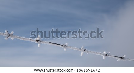 Similar – Foto Bild Raureif am Stacheldraht und am Maschendrahtzaun vor blauem Himmel