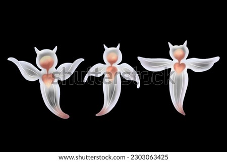 Similar – Image, Stock Photo Sea snail against black background