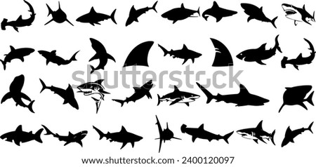  Shark silhouette vector illustration, various species of sharks, great white, hammerhead, bull shark, tiger shark, ocean predators, sea life, marine biology, underwater, fish, dangerous, carnivore