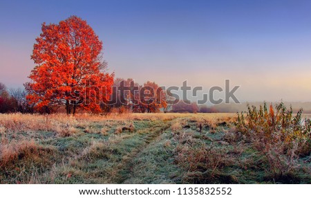 Image, Stock Photo frosty autumn day