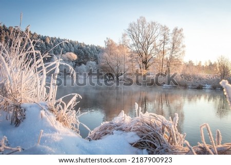 Similar – Image, Stock Photo Winter landscape with snow outskirts