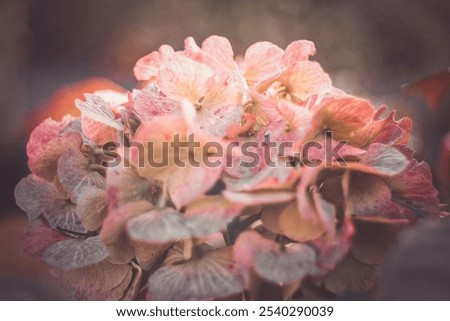 Similar – Image, Stock Photo unsharp detail of an eye
