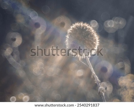 Image, Stock Photo unsharp detail of an eye