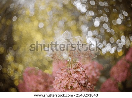 Similar – Image, Stock Photo unsharp detail of an eye