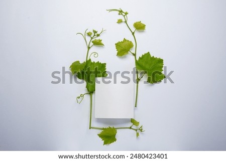 Similar – Image, Stock Photo Bunch of fresh grapes in bowl