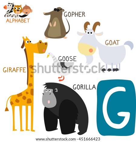 Cute Animal Zoo Alphabet. Letter G For Gorilla, Gopher, Giraffe, Goat ...