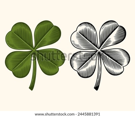 Clover leaf. Hand drawn clover leaf in engraving style. Lucky leaf illustration. Vintage clover leaf woodcut illustration.