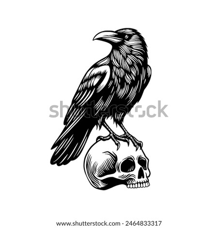 Vector illustration of a raven standing on a skull. Crow standing on a skull