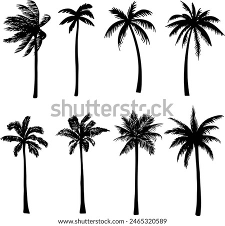 Set of palm trees silhouette