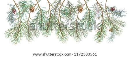 Horizontal border with pine branches and cones, needles on white background, hand digital draw, watercolor style, decorative botanical illustration for design, Christmas tree, panoramic view, vector