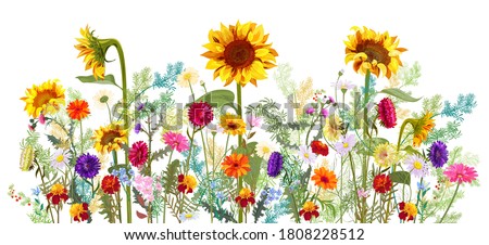 Horizontal autumn’s border: sunflowers, aster, thistles, gerbera, marigold, daisy flowers, small green twigs on white background. Digital draw, illustration in watercolor style, panoramic view, vector