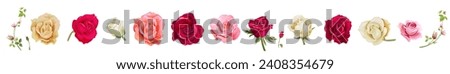 Collection of white, pink, red rose heads, panoramic view. Horizontal border for Valentine: rose flowers, buds close-up on white background. Realistic romantic illustration in watercolor style, vector
