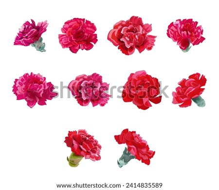 Set of red carnation’s flowers heads in watercolor style on white background. Close-up, panoramic view. Collection for Mother's Day, Victory Day. Digital draw, realistic vintage illustration, vector