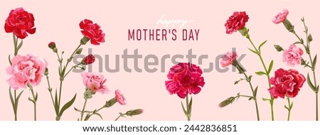 Rectangular card for Mother's Day. Panoramic frame with red, pink, white carnation flowers on pink background. Template with massage for mother greeting. Realistic illustration in watercolor style