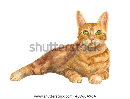 European shorthair cat with green eyes, red tabby, kitten lies on white background, isolated, hand draw watercolor painting, animal illustration, vintage