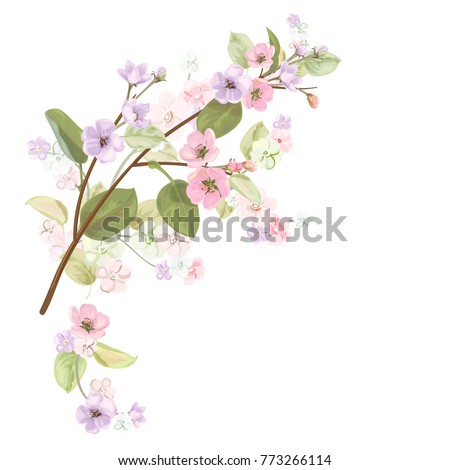 Realistic Cherry Blossom Drawing At Getdrawings Free Download