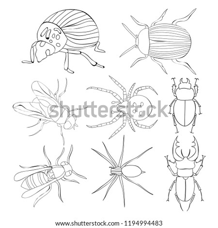 Kleurplaat Met Bee Vliegen Download Gratis Vectorkunst En Andere