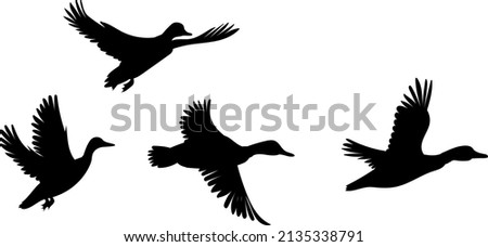 Flying Duck Silhouette | Free download on ClipArtMag