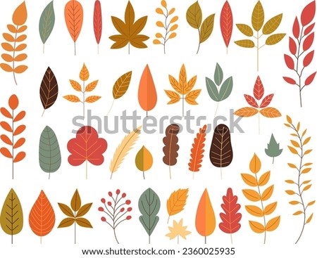 collection of autumn tree leaves on white background vector