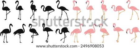 set of pink flamingos, on a white background vector