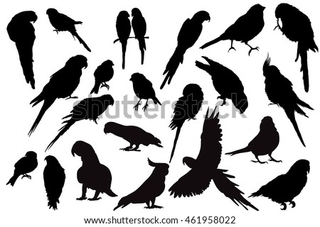 Parrot Silhouettes Vector | Download Free Vector Art | Free-Vectors